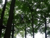 2010_wd_ibbenburen_054