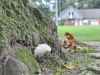 2014_08-28_Eichenstadion_Eichen_ (12)