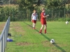 2014_Eichenstadion_Junikaefer_01