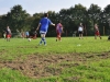 2014_Eichenstadion_Junikaefer_02