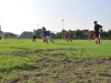 2014_Eichenstadion_Junikaefer_05