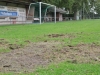 2014_Eichenstadion_Junikaefer_07