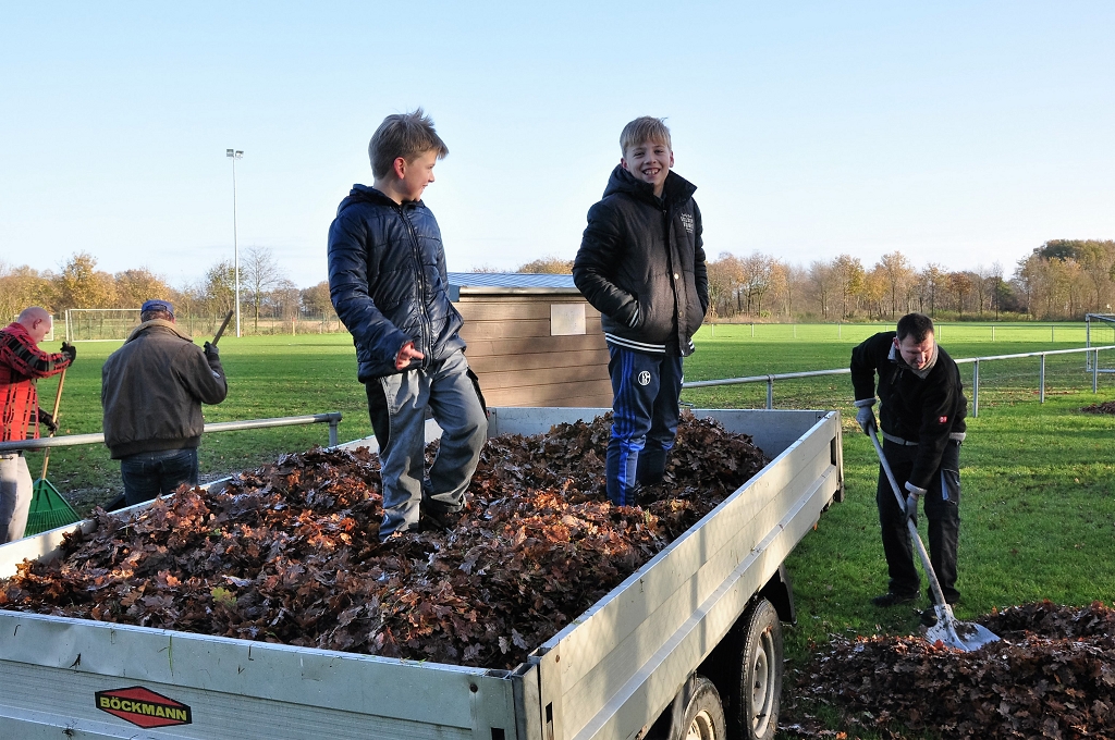 2015_11_28_RWN_eichenstadion_Laubaktion_ (14)