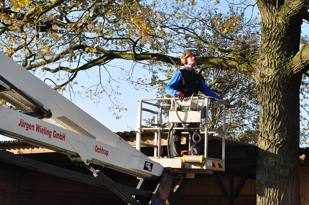 2015_11_28_RWN_eichenstadion_Laubaktion_ (18)