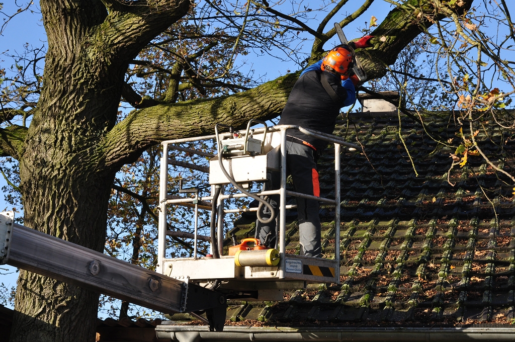2015_11_28_RWN_eichenstadion_Laubaktion_ (19)