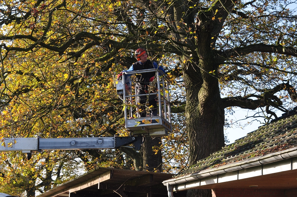 2015_11_28_RWN_eichenstadion_Laubaktion_ (20)