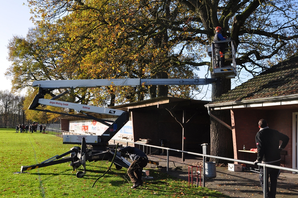 2015_11_28_RWN_eichenstadion_Laubaktion_ (21)