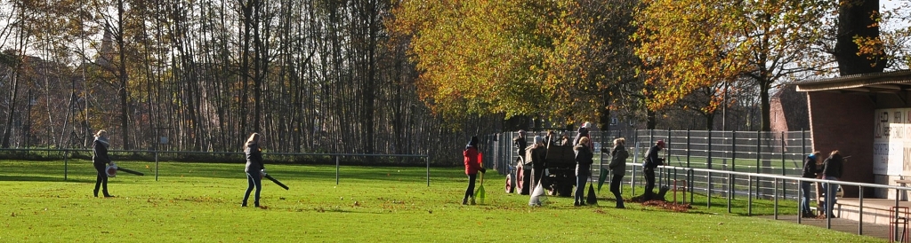 2015_11_28_RWN_eichenstadion_Laubaktion_ (23)