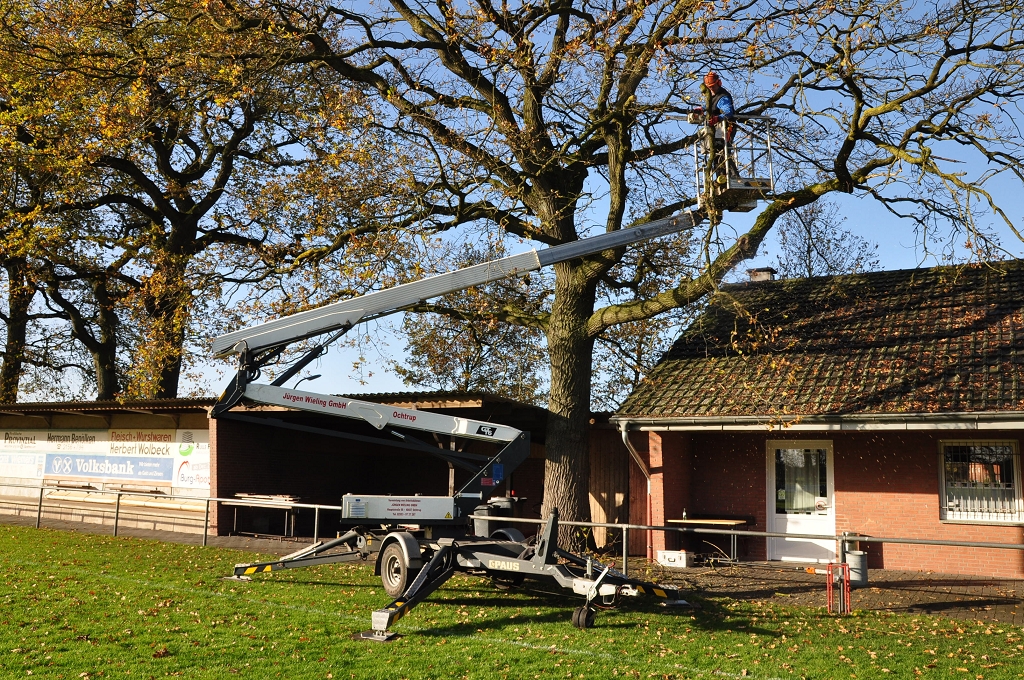 2015_11_28_RWN_eichenstadion_Laubaktion_ (24)