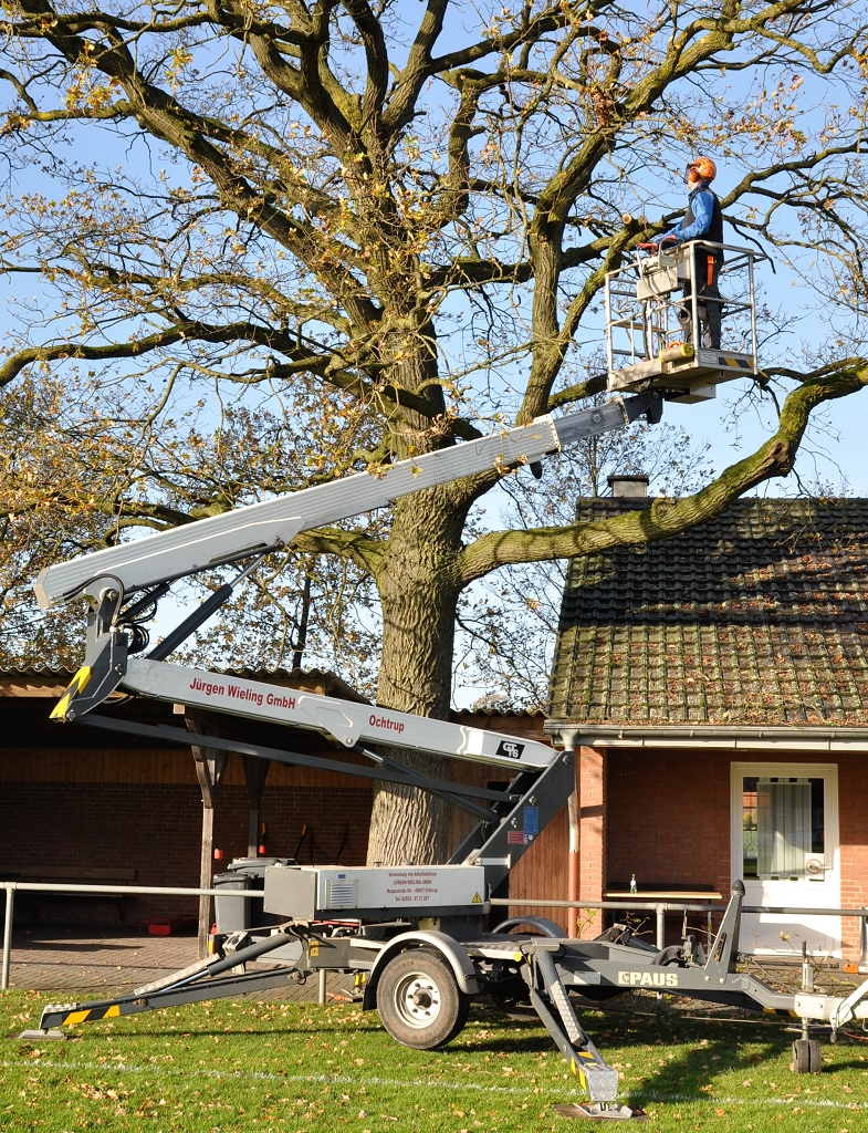 2015_11_28_RWN_eichenstadion_Laubaktion_ (25)