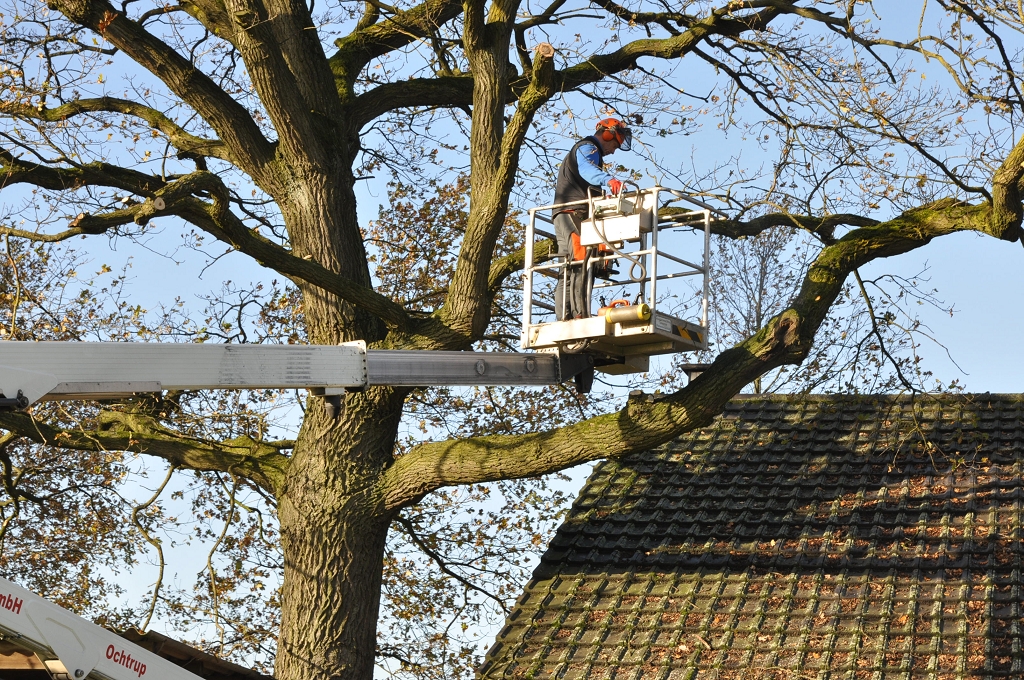 2015_11_28_RWN_eichenstadion_Laubaktion_ (27)