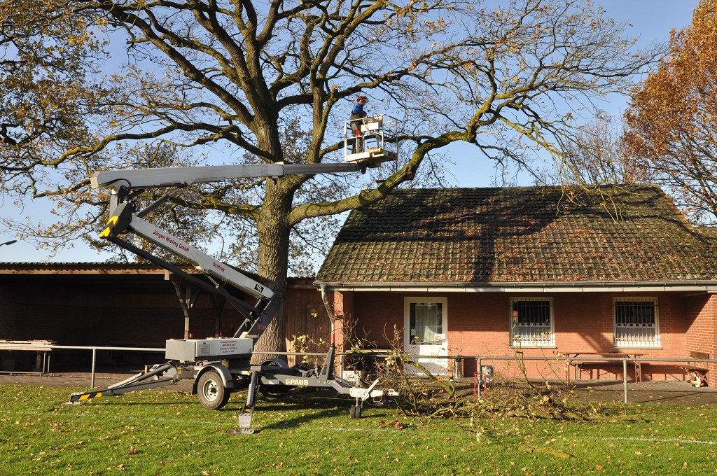 2015_11_28_RWN_eichenstadion_Laubaktion_ (28)