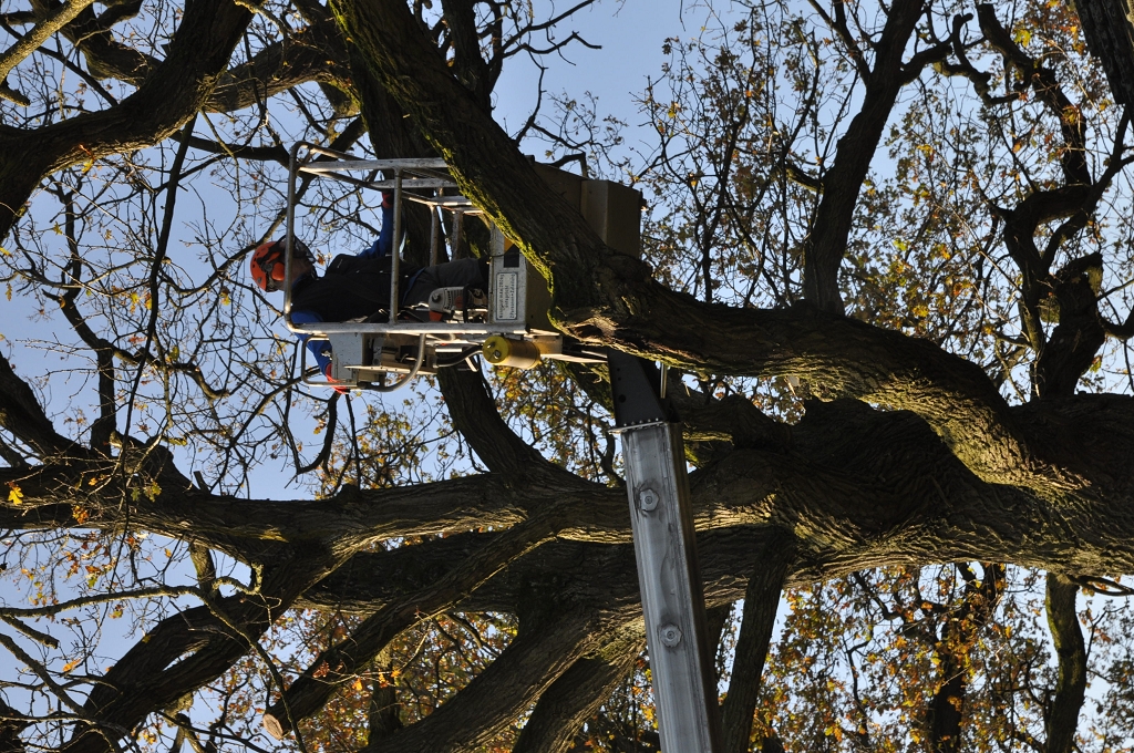 2015_11_28_RWN_eichenstadion_Laubaktion_ (29)