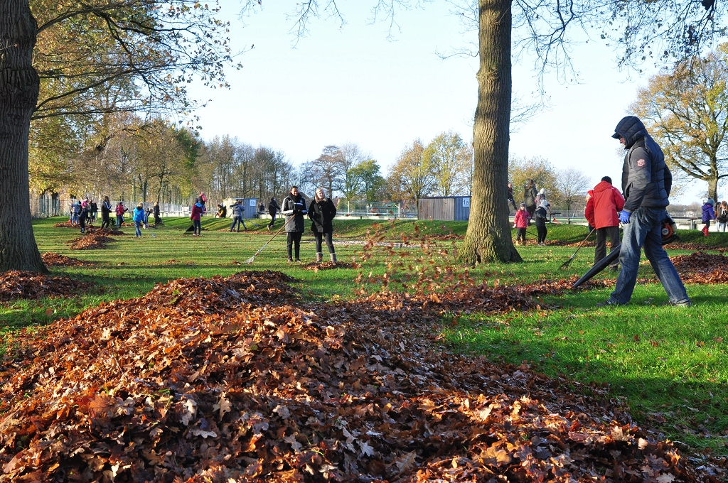 2015_11_28_RWN_eichenstadion_Laubaktion_ (3)