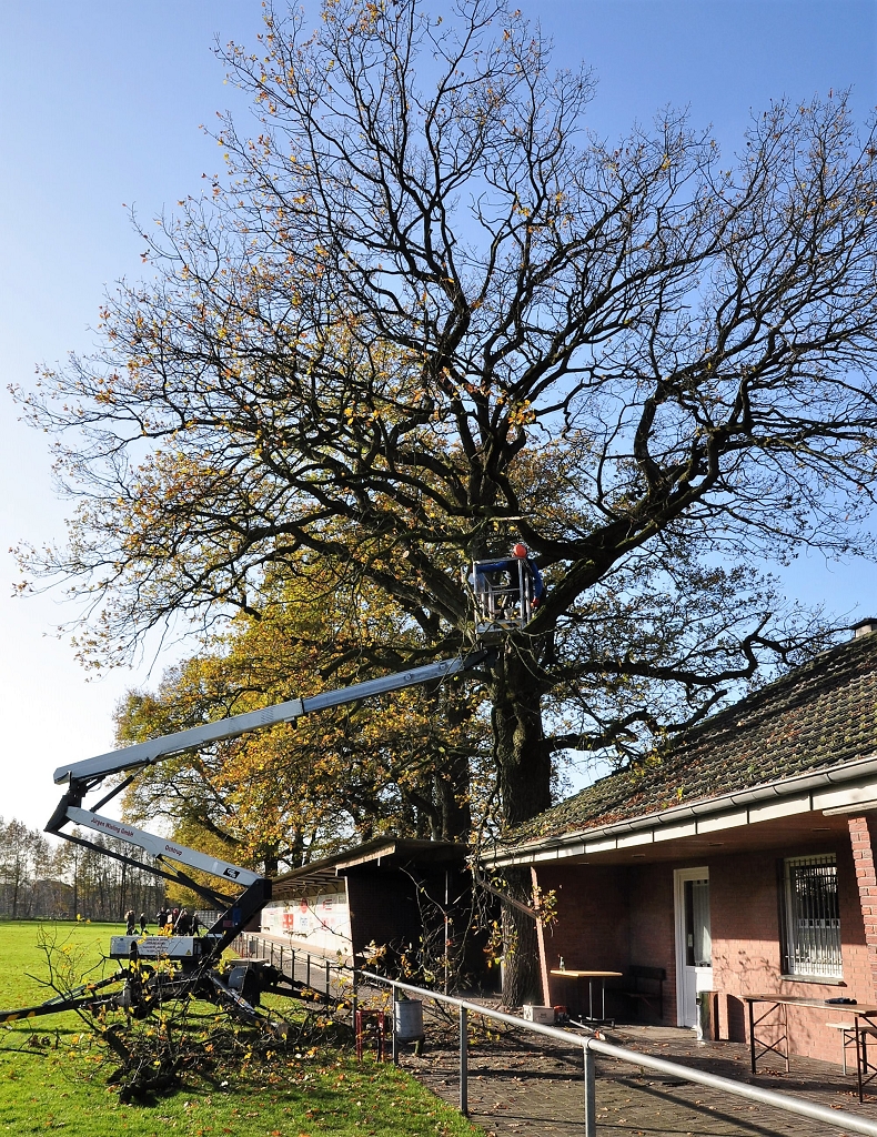 2015_11_28_RWN_eichenstadion_Laubaktion_ (30)