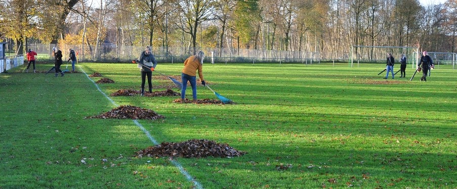 2015_11_28_RWN_eichenstadion_Laubaktion_ (31)