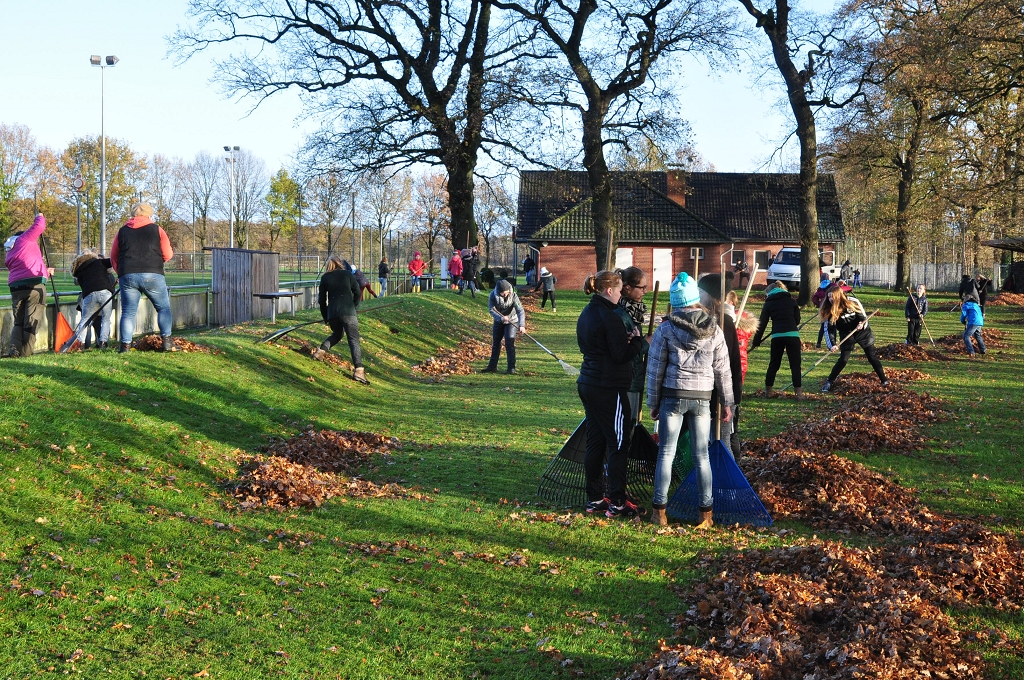 2015_11_28_RWN_eichenstadion_Laubaktion_ (5)