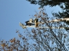 2015_11_28_RWN_eichenstadion_Laubaktion_ (16)