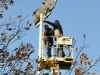 2015_11_28_RWN_eichenstadion_Laubaktion_ (17)