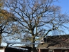 2015_11_28_RWN_eichenstadion_Laubaktion_ (22)