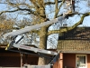 2015_11_28_RWN_eichenstadion_Laubaktion_ (25)
