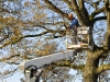 2015_11_28_RWN_eichenstadion_Laubaktion_ (26)