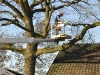 2015_11_28_RWN_eichenstadion_Laubaktion_ (27)