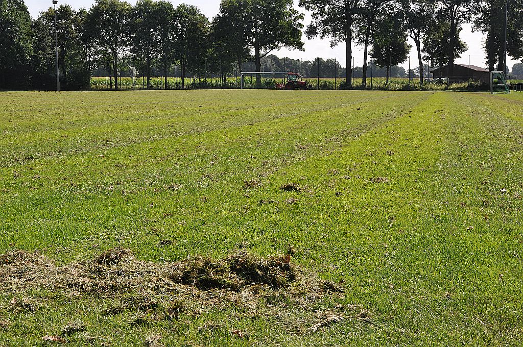 2016_07_28_RWN_Platz_2_Striegeln_ (5)