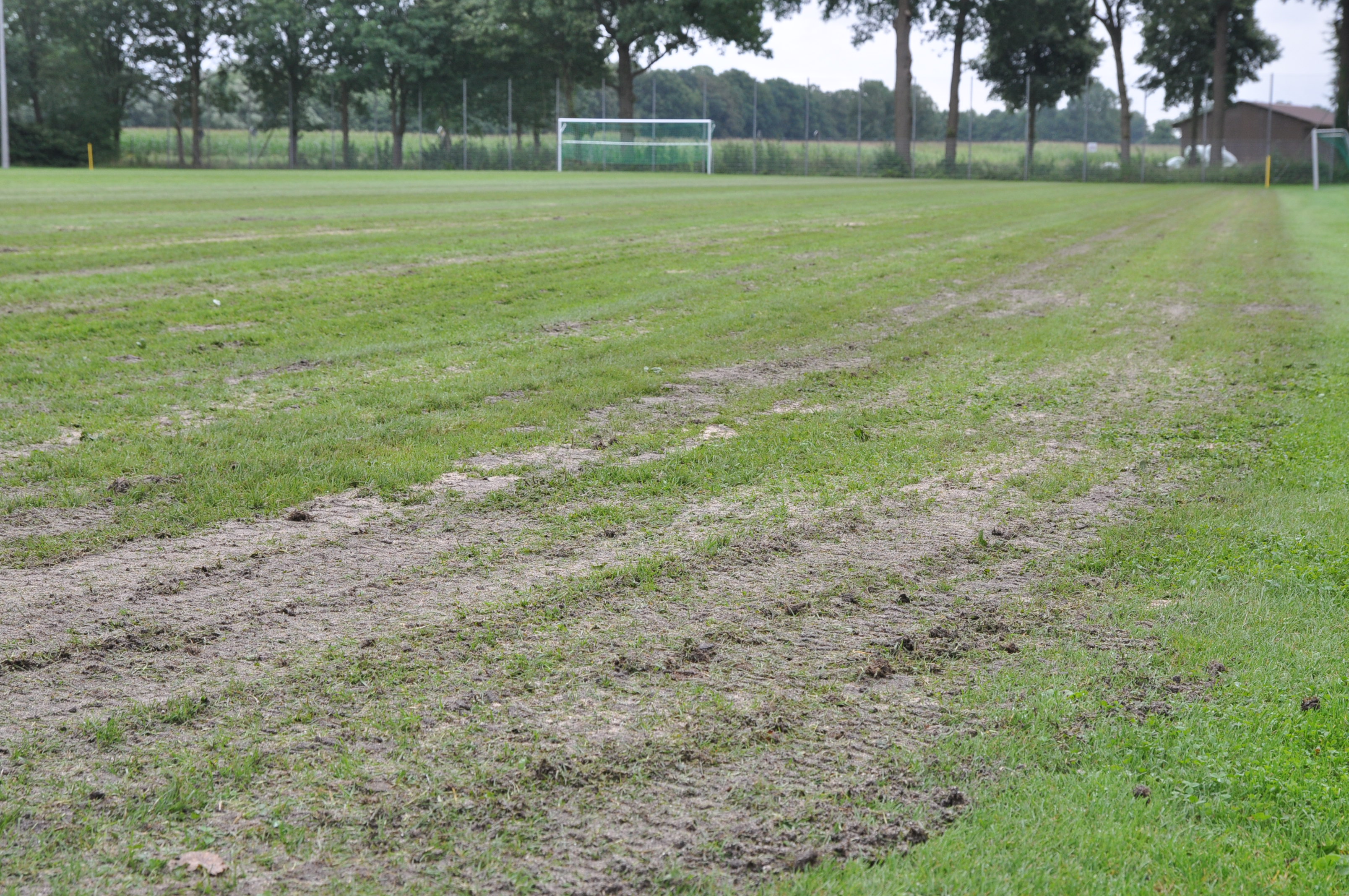 2016_08_04_RWN_Platz_2_Tiefenlockern_ (3)