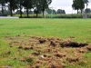 2016_09_30_Junikaefer_Eichenstadion