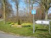 2020_03_28_RWN_Eichenstadion_-12