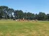 IMG-20200809-WA0040