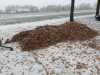 IMG-20221217-WA0007