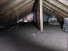 IMG-20221217-WA0020