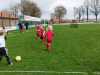 Minis_2023_03_25_Bild5