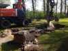 IMG-20230503-WA0005