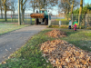 Laubaktion_10