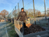 Laubaktion_8