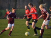 wE-FSV_8