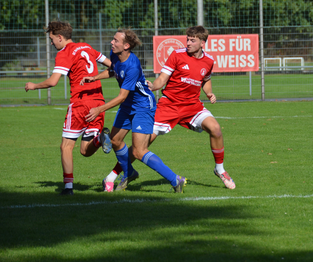 RWN_HSV_11