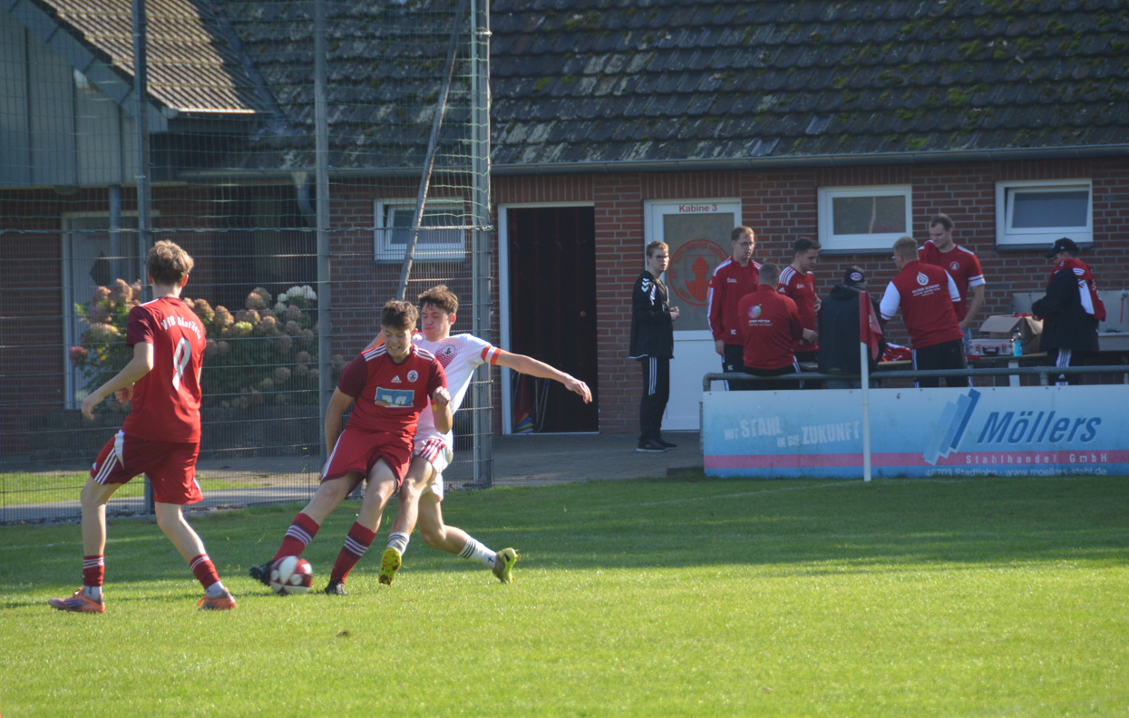 JSG-VfB_2