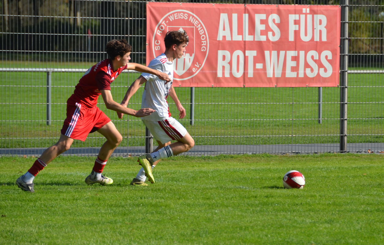JSG-VfB_4