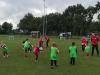 FII_Training_10