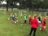 FII_Training_11