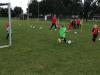 FII_Training_14