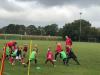 FII_Training_2