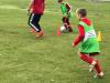 FII_Training_6