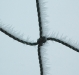2009-winter05