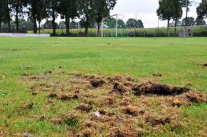 2016_09_30_junikaefer_eichenstadion