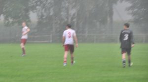 RWN_A2_Hochmoor_11